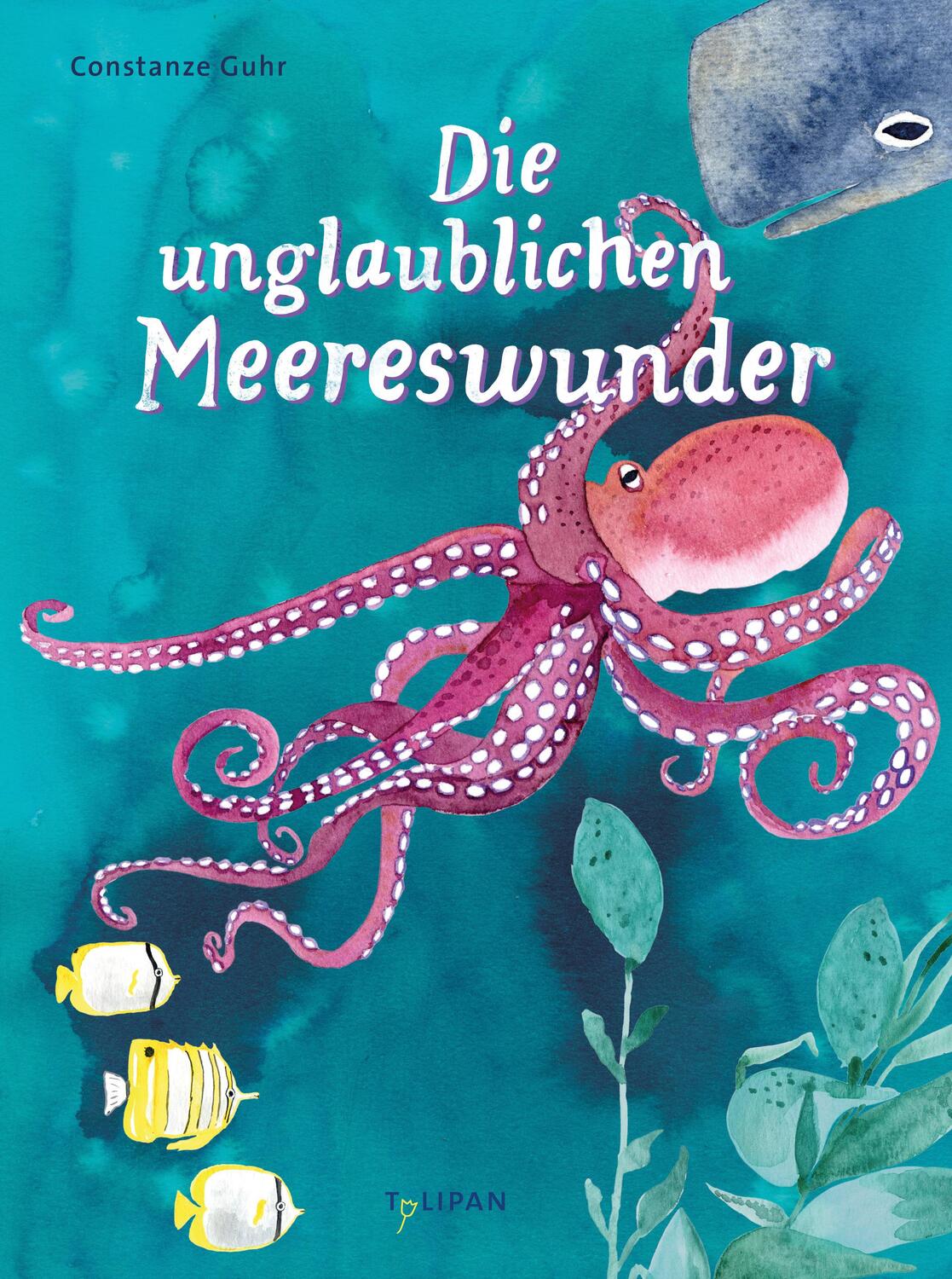 Cover: 9783864296178 | Die unglaublichen Meereswunder | Constanze Guhr | Buch | 40 S. | 2023