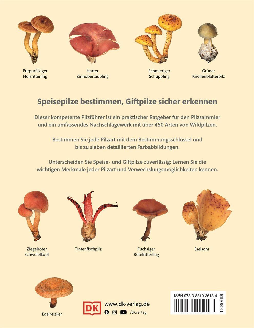 Rückseite: 9783831036134 | Pilze | Das große Bestimmungsbuch | Thomas Læssøe | Buch | 360 S.