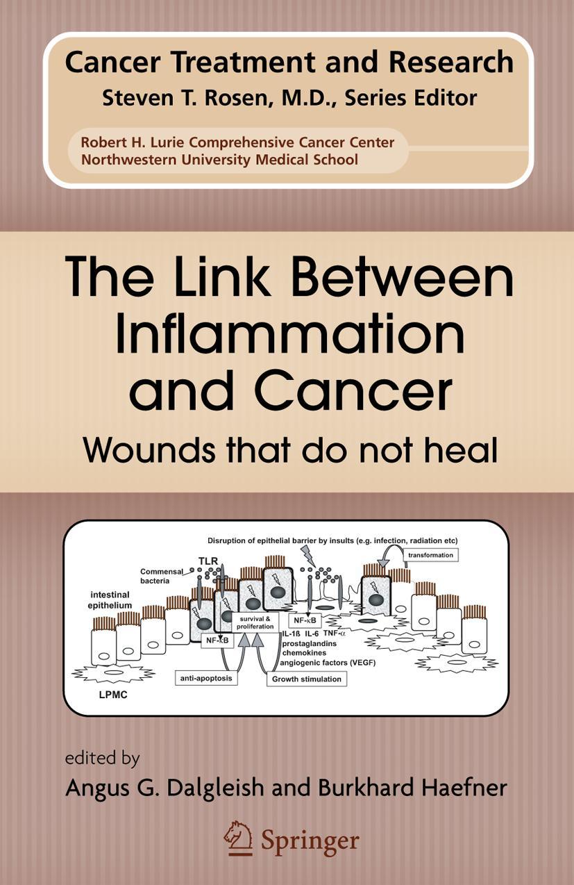 Cover: 9781441938817 | The Link Between Inflammation and Cancer | Wounds that do not heal