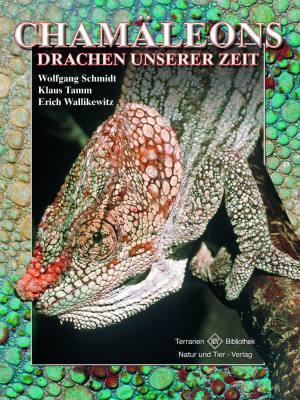 Cover: 9783866591332 | Chamäleons, Drachen unserer Zeit | Drachen unserer Zeit | Buch | 2010