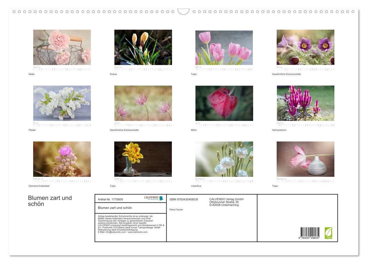 Bild: 9783435458035 | Blumen zart und schön (Wandkalender 2025 DIN A2 quer), CALVENDO...