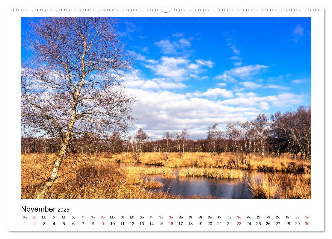 Bild: 9783435494330 | OSTFRIESLAND Strand und Mee(h)r (Wandkalender 2025 DIN A2 quer),...