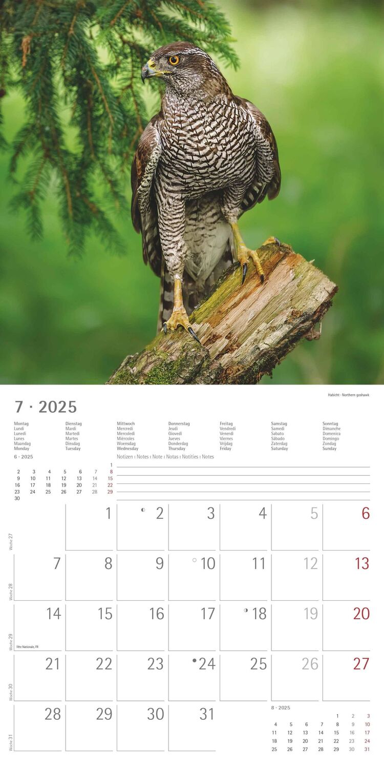 Bild: 4251732340803 | Wald und Flur 2025 - Broschürenkalender 30x30 cm (30x60 geöffnet) -...