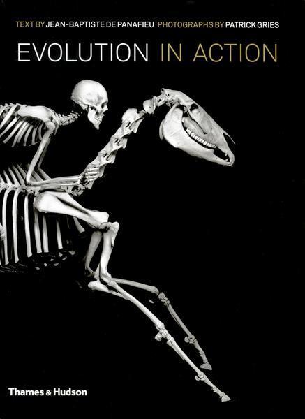 Cover: 9780500515983 | Evolution in Action | Natural History through Spectacular Skeletons