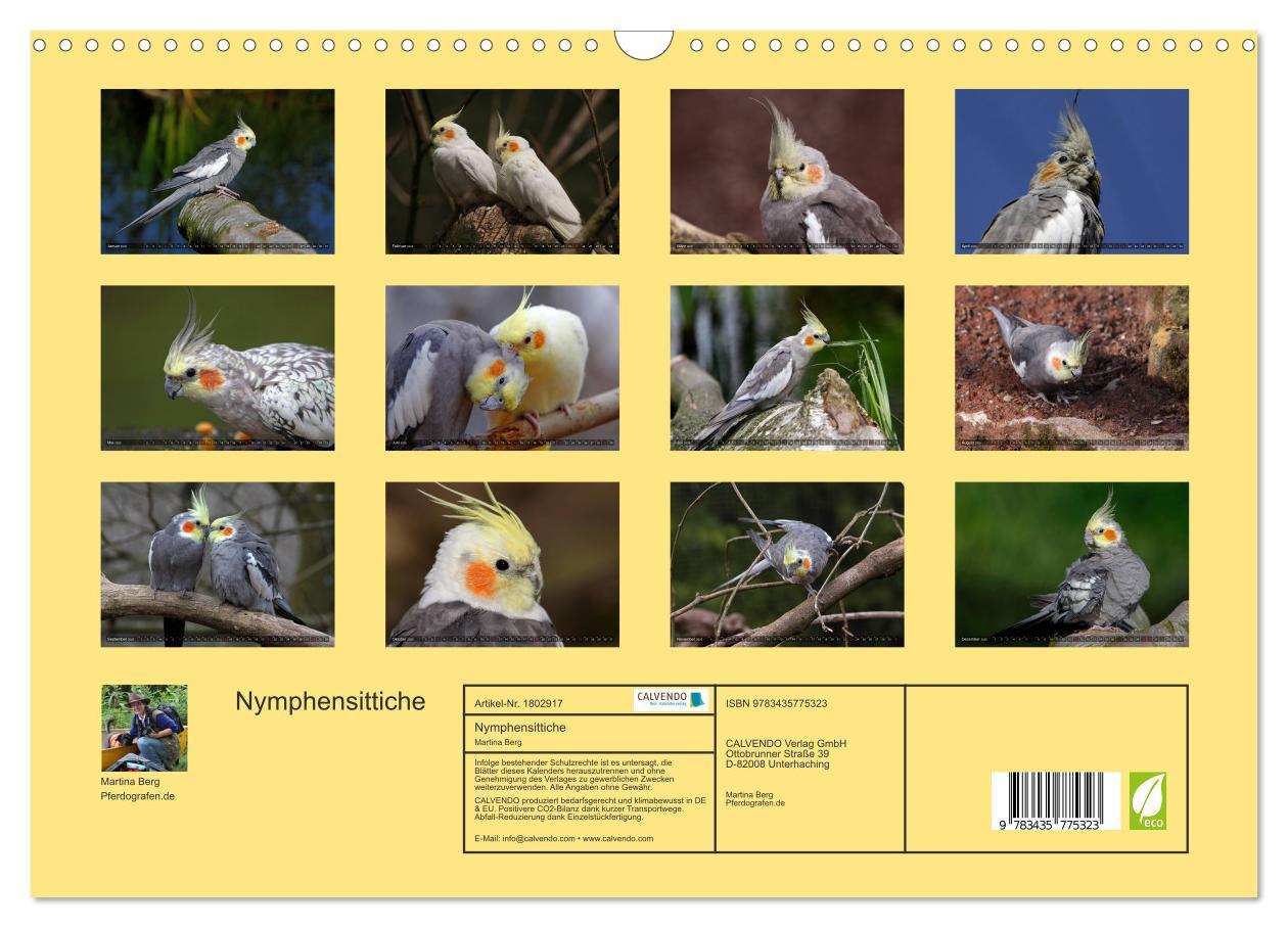 Bild: 9783435775323 | Nymphensittiche (Wandkalender 2025 DIN A3 quer), CALVENDO...