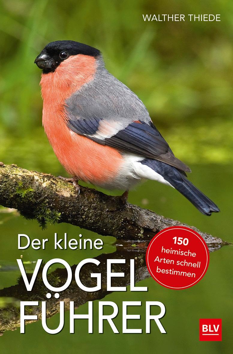Cover: 9783835417212 | Der kleine Vogelführer | Walther Thiede | Taschenbuch | 128 S. | 2017