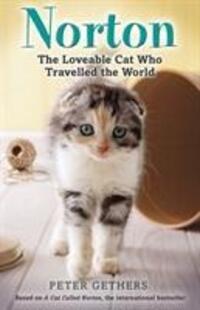 Cover: 9781849413879 | Norton, The Loveable Cat Who Travelled the World | Peter Gethers