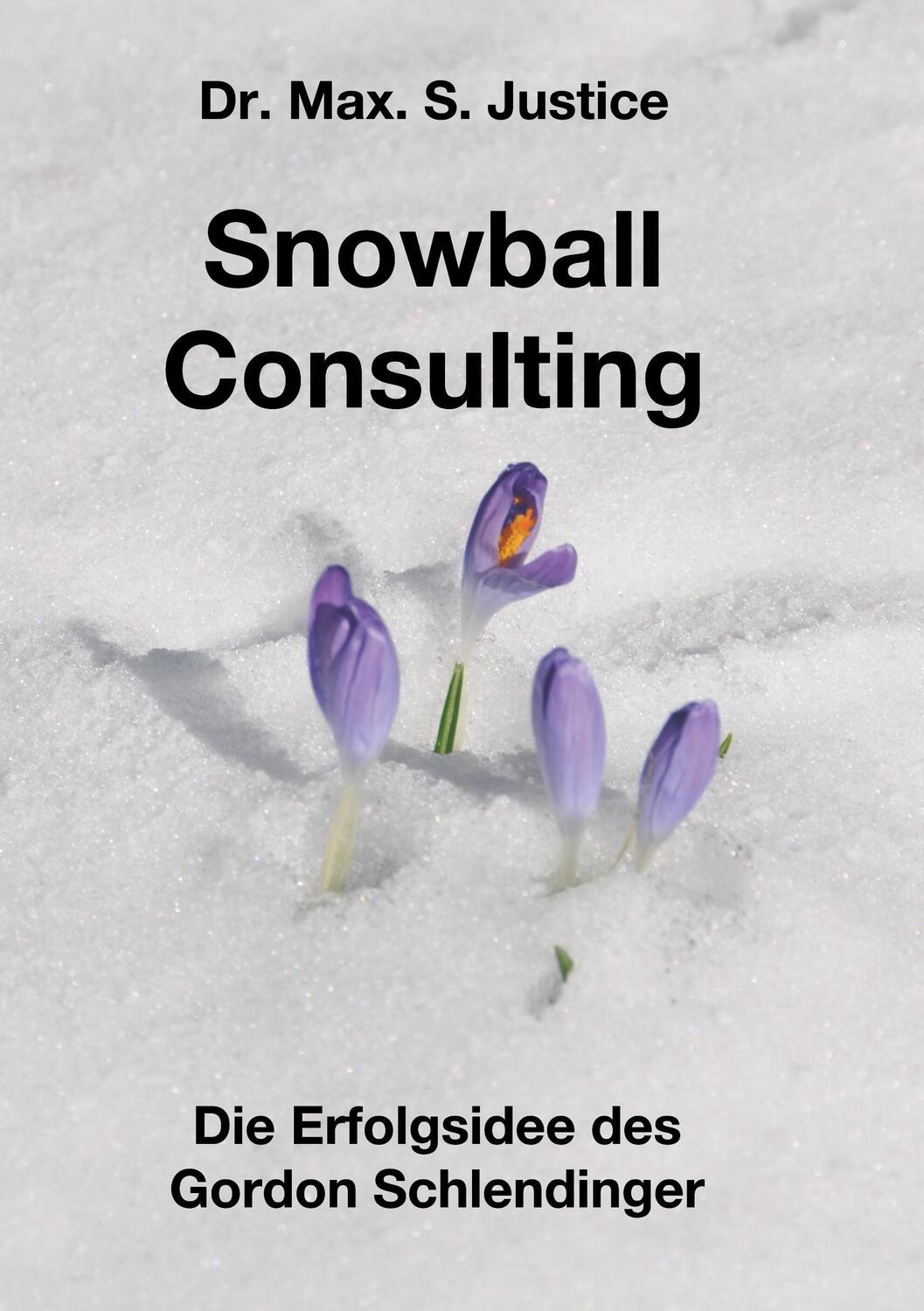 Cover: 9783746927190 | Snowball Consulting | Die Erfolgsidee des Gordon Schlendinger | Buch