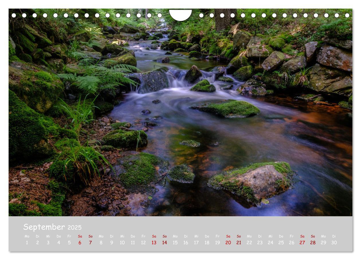 Bild: 9783435032051 | Harzer Impressionen (Wandkalender 2025 DIN A4 quer), CALVENDO...