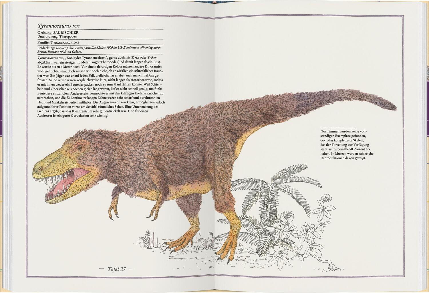 Bild: 9783836961592 | Triceratops, T-Rex, Supersaurus | Die Welt der Dinosaurier | Aladjidi