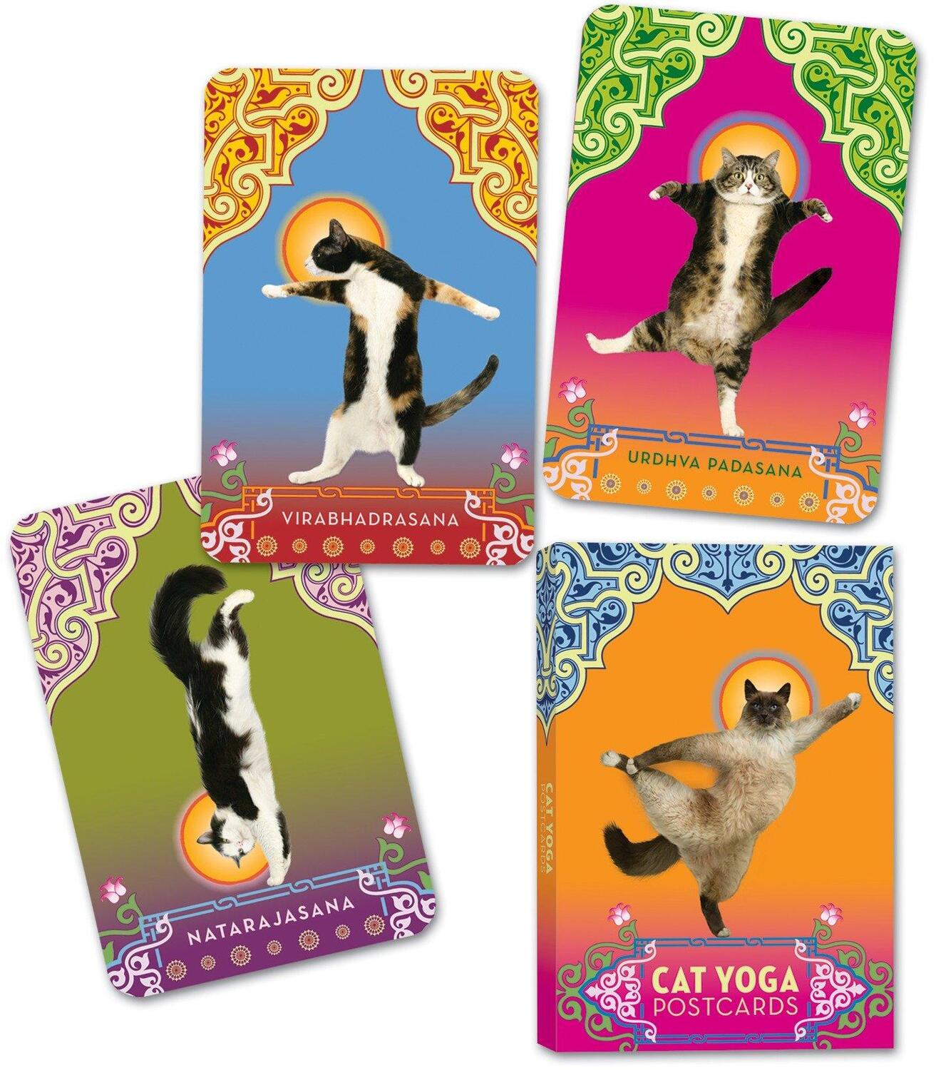 Cover: 9780307395429 | Cat Yoga Postcards | Rick Tillotson | Stück | Englisch | 2007