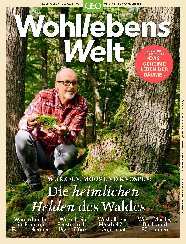 Cover: 9783652012065 | Wohllebens Welt 13/2022 - Die heimlichen Helden des Waldes | Wohlleben
