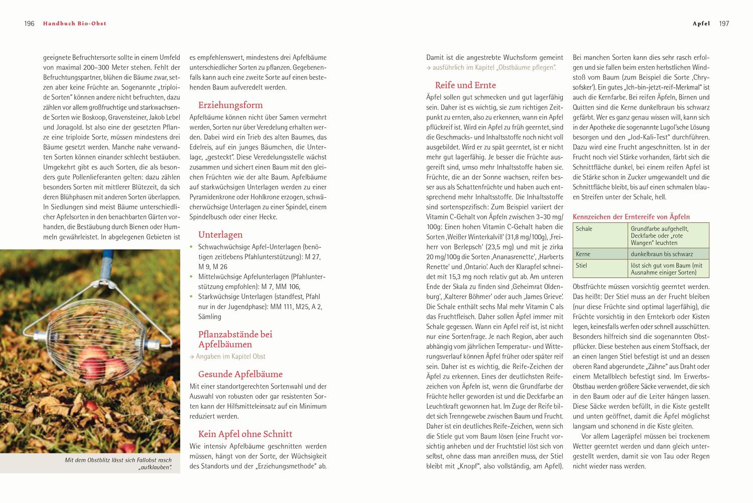 Bild: 9783706625784 | Handbuch Bio-Obst | Johannes Maurer (u. a.) | Buch | 528 S. | Deutsch