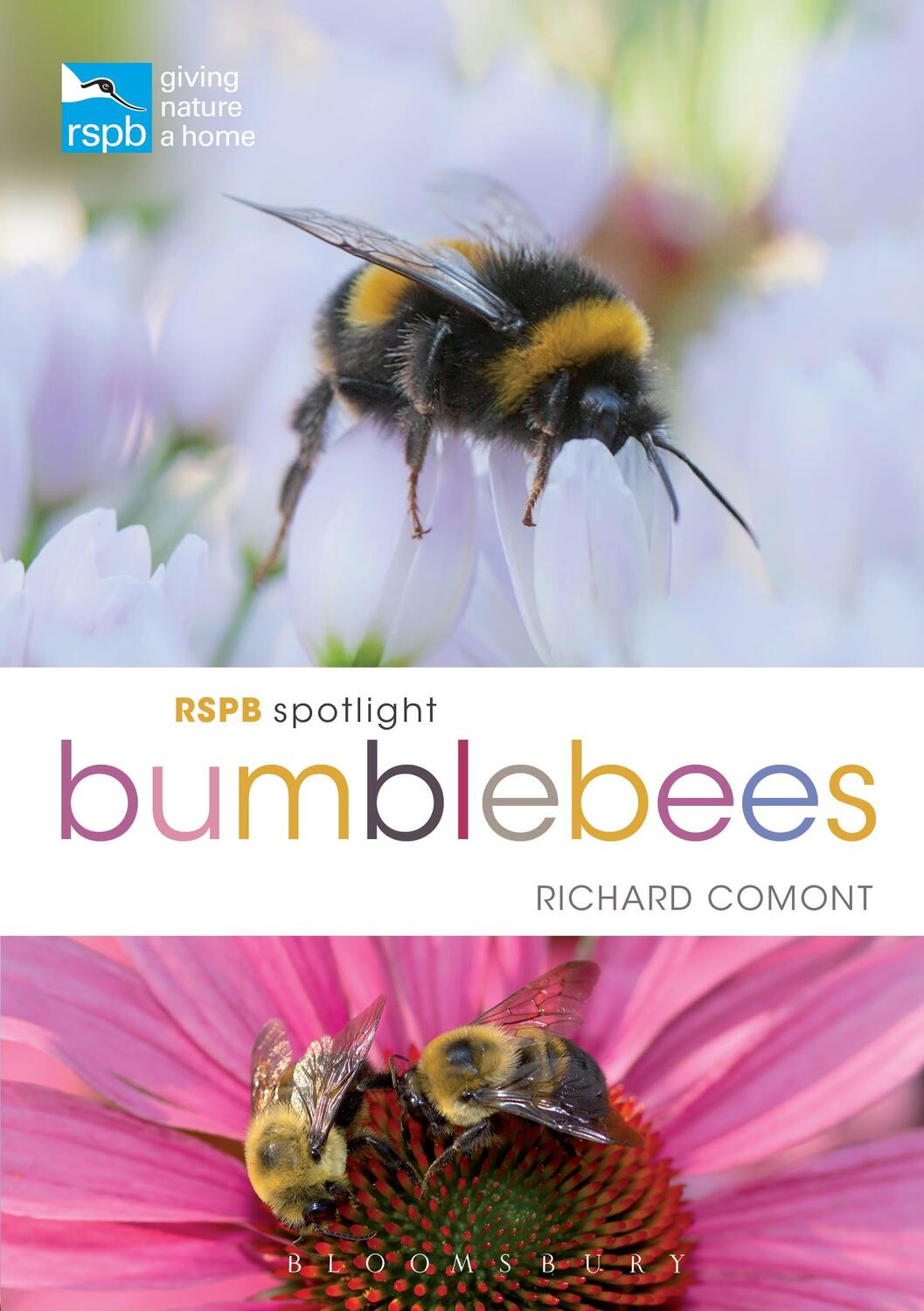 Cover: 9781472966650 | RSPB Spotlight Bumblebees | Richard Comont | Taschenbuch | RSPB | 2018