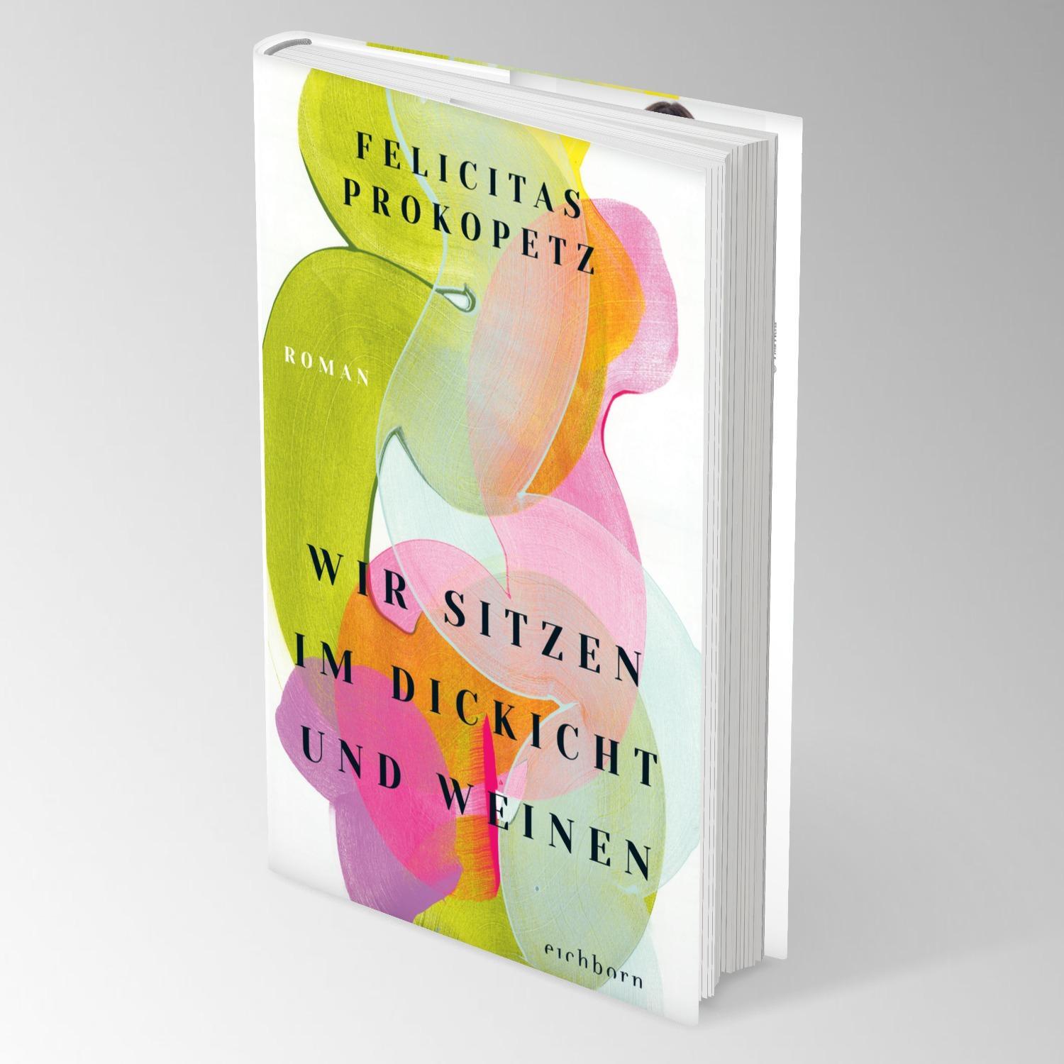 Bild: 9783847901617 | Wir sitzen im Dickicht und weinen | Felicitas Prokopetz | Buch | 2024