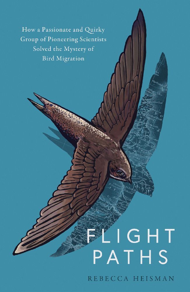 Cover: 9781800752948 | Flight Paths | How the mystery of bird migration was solved | Heisman