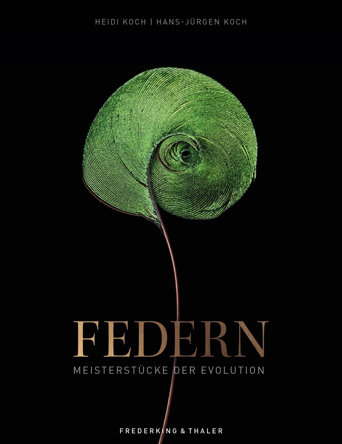 Cover: 9783954163939 | Federn | Meisterstücke der Evolution | Hans-Jürgen Koch | Buch | 2023
