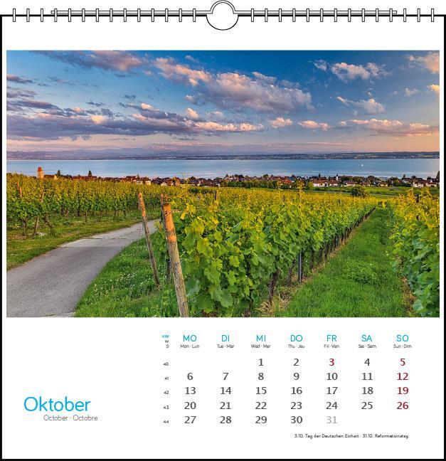 Bild: 9783861924098 | Bodensee 2025 | Postkarten-Tischkalender | Kalender | Spiralbindung