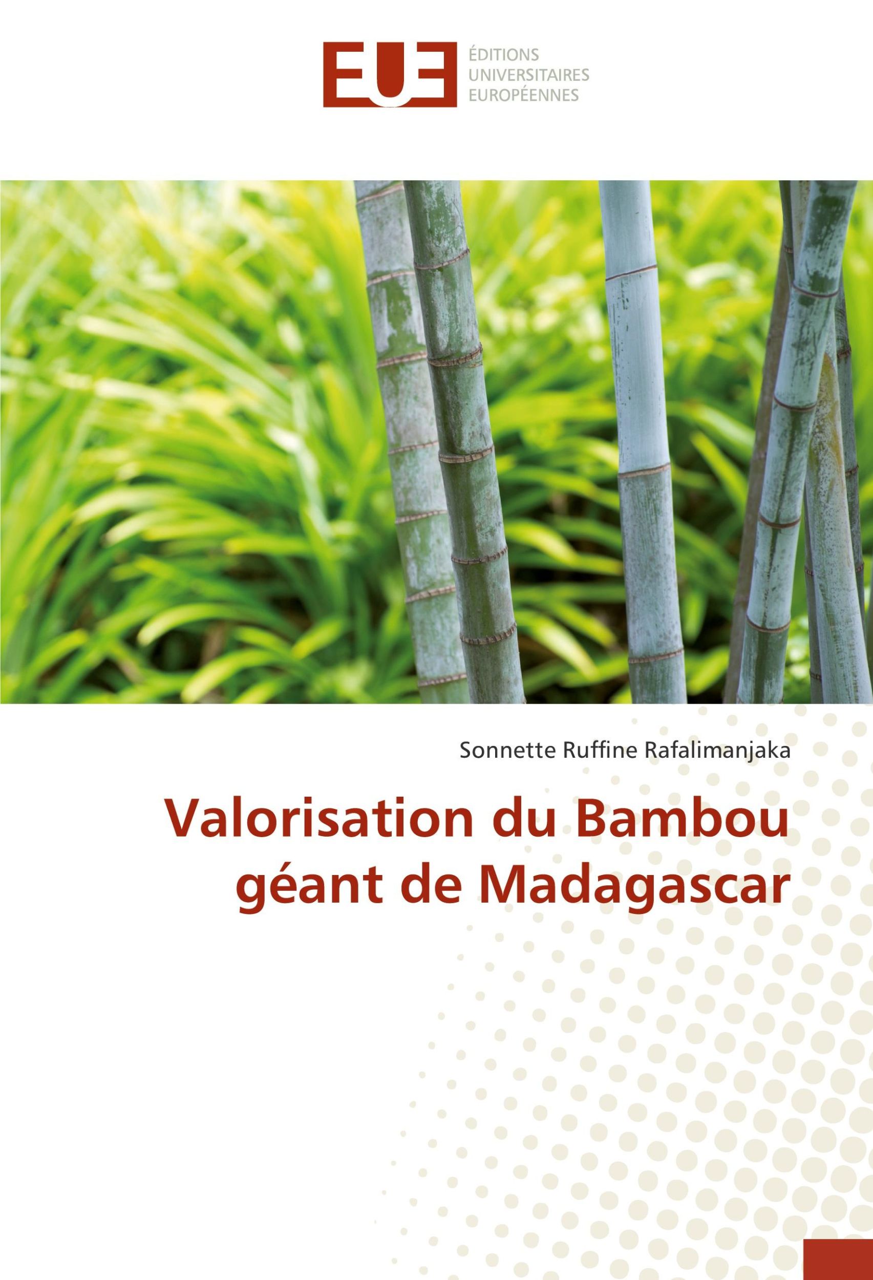 Cover: 9783330877016 | Valorisation du Bambou géant de Madagascar | Rafalimanjaka | Buch