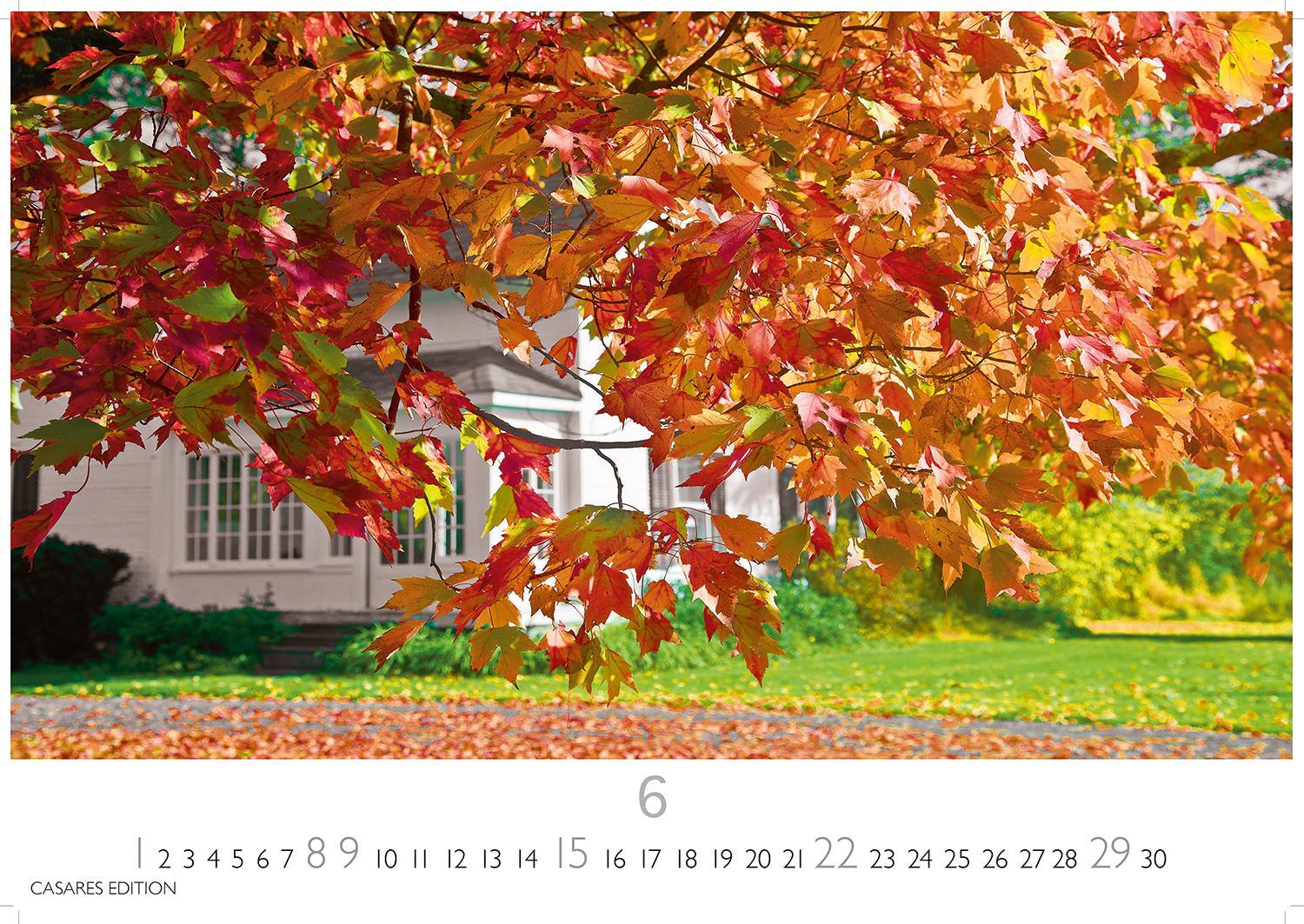 Bild: 9781835242803 | Indian Summer 2025 L 35x50cm | Kalender | 14 S. | Deutsch | 2025