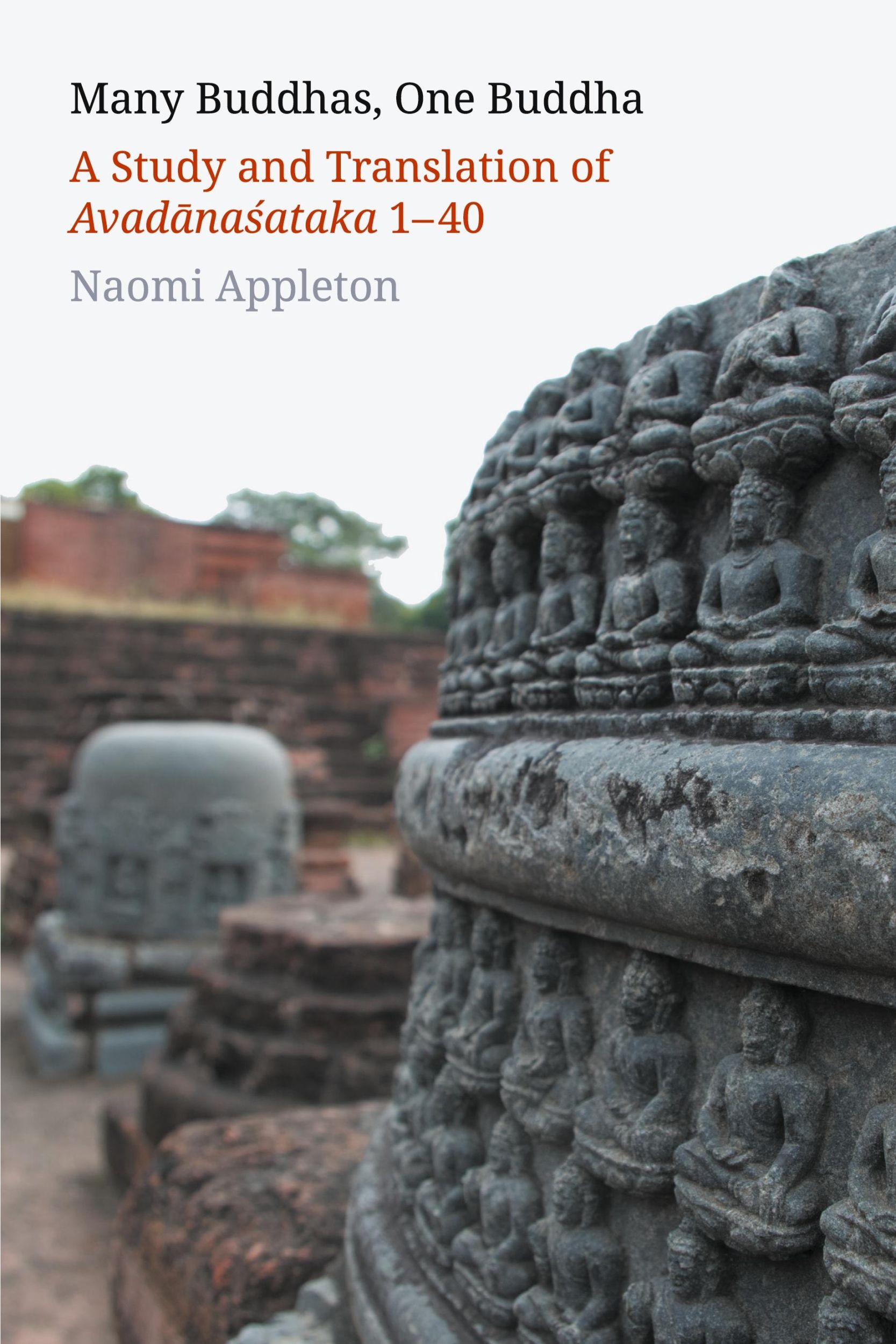 Cover: 9781781798973 | Many Buddhas, One Buddha | Naomi Appleton | Taschenbuch | Englisch