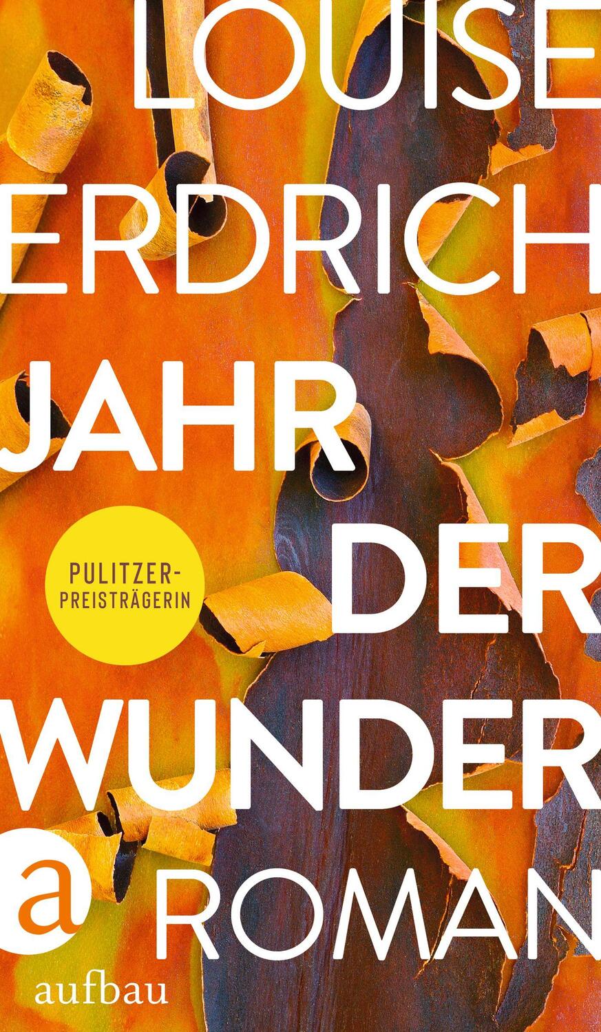 Cover: 9783351039806 | Jahr der Wunder | Roman | Louise Erdrich | Buch | Deutsch | 2023