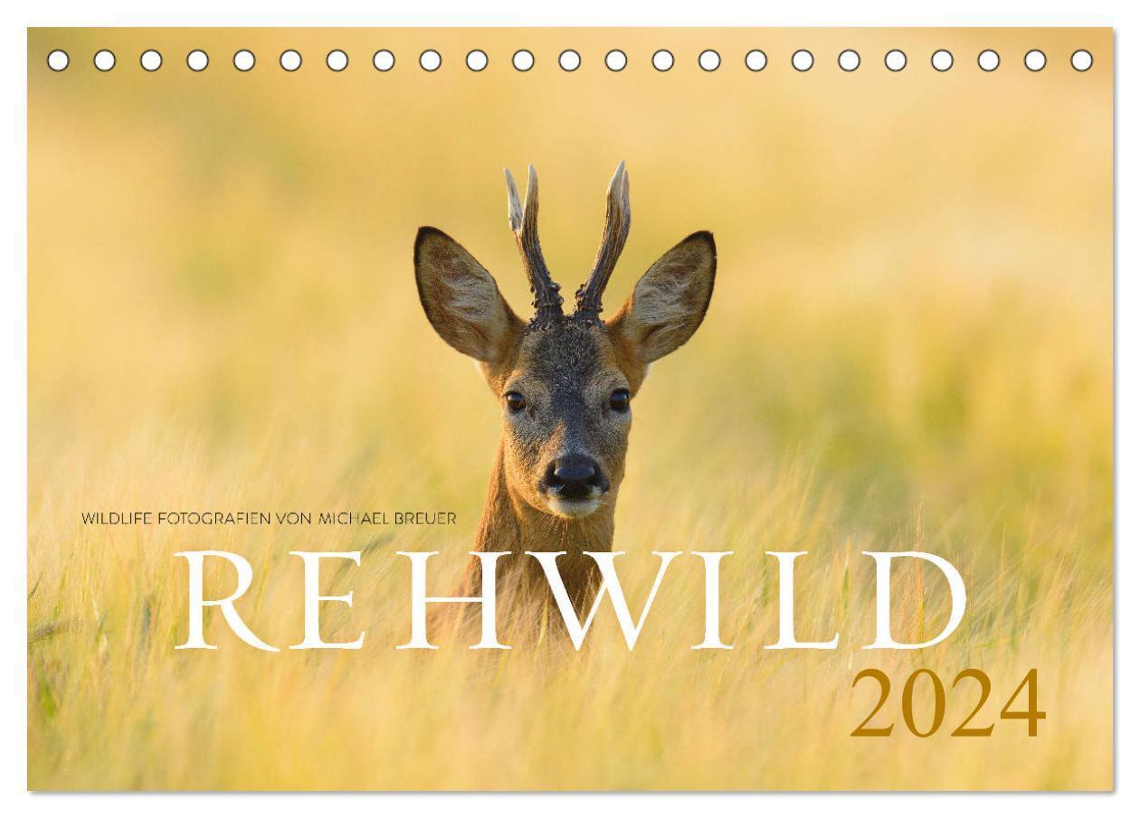 Cover: 9783675554214 | Rehwild 2024 (Tischkalender 2024 DIN A5 quer), CALVENDO Monatskalender