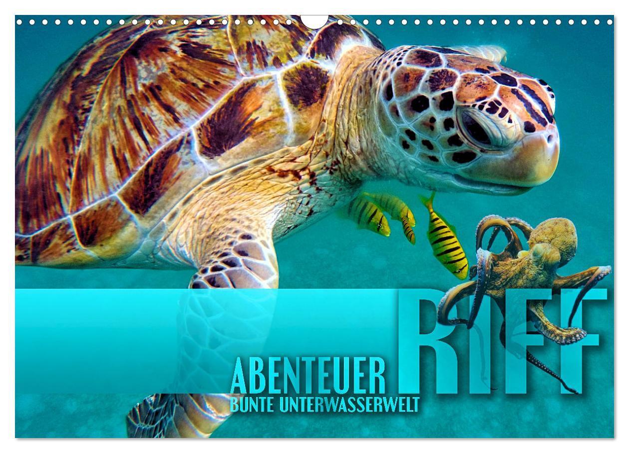 Cover: 9783383979323 | Abenteuer Riff - bunte Unterwasserwelt (Wandkalender 2025 DIN A3...