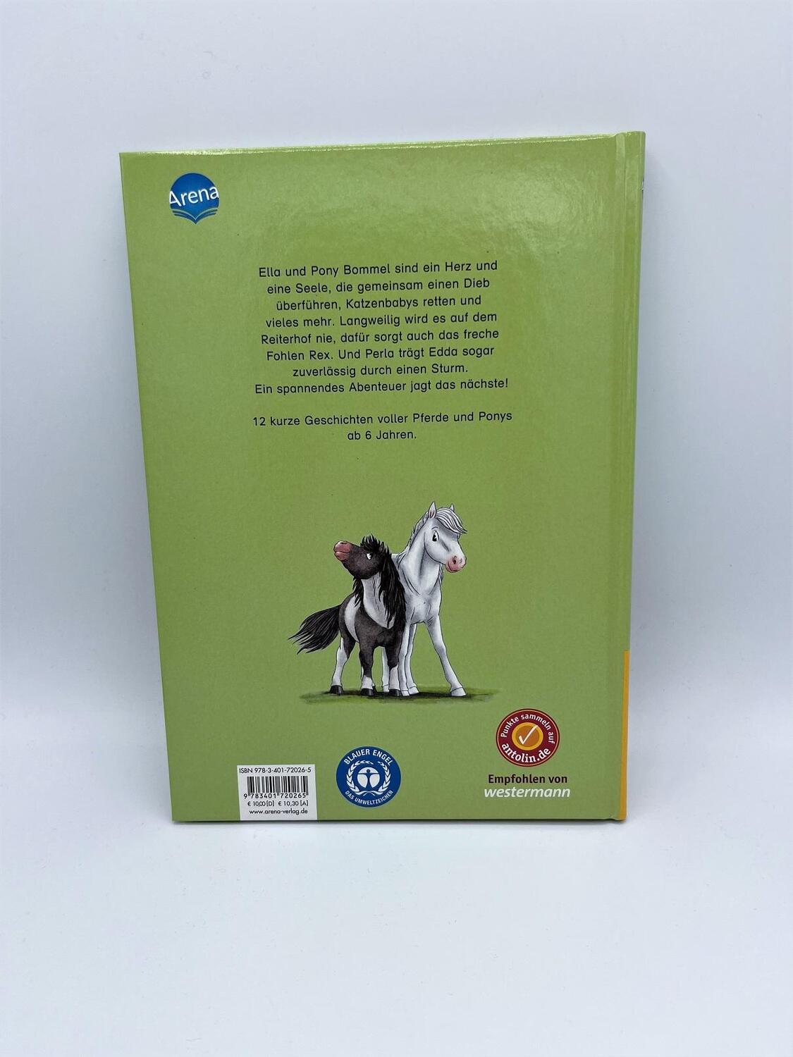 Rückseite: 9783401720265 | Die besten Pony- und Pferdegeschichten | Karin Müller (u. a.) | Buch