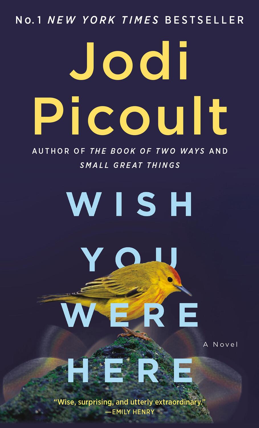 Cover: 9780593598641 | Wish You Were Here | A Novel | Jodi Picoult | Taschenbuch | 432 S.