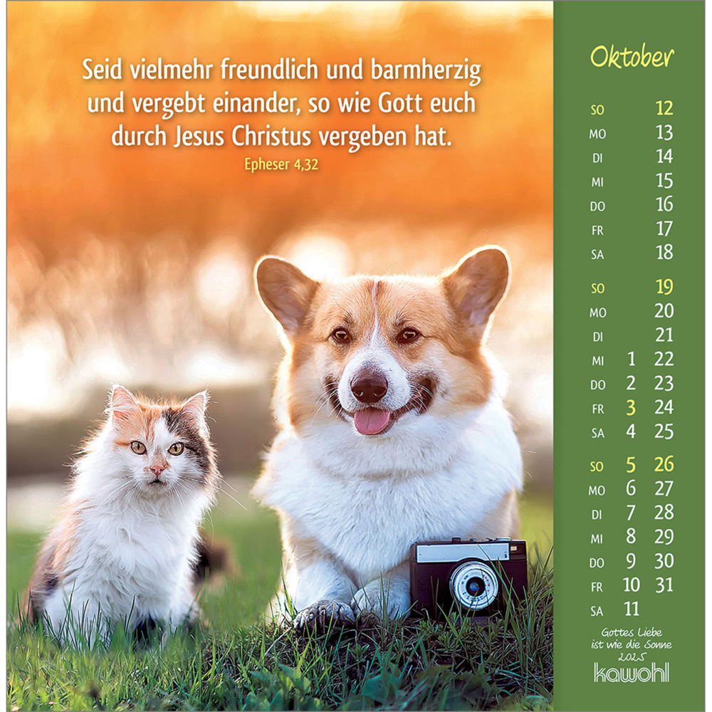 Bild: 9783754848050 | Gottes Liebe ist wie die Sonne 2025 | Tierkalender mit Bibelworten