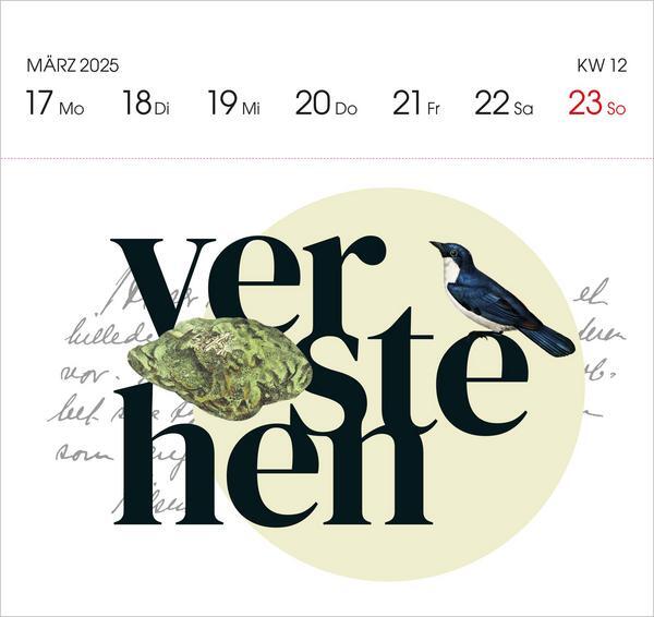 Bild: 9783731879374 | Kraftworte 2025 | Verlag Korsch | Kalender | 54 S. | Deutsch | 2025