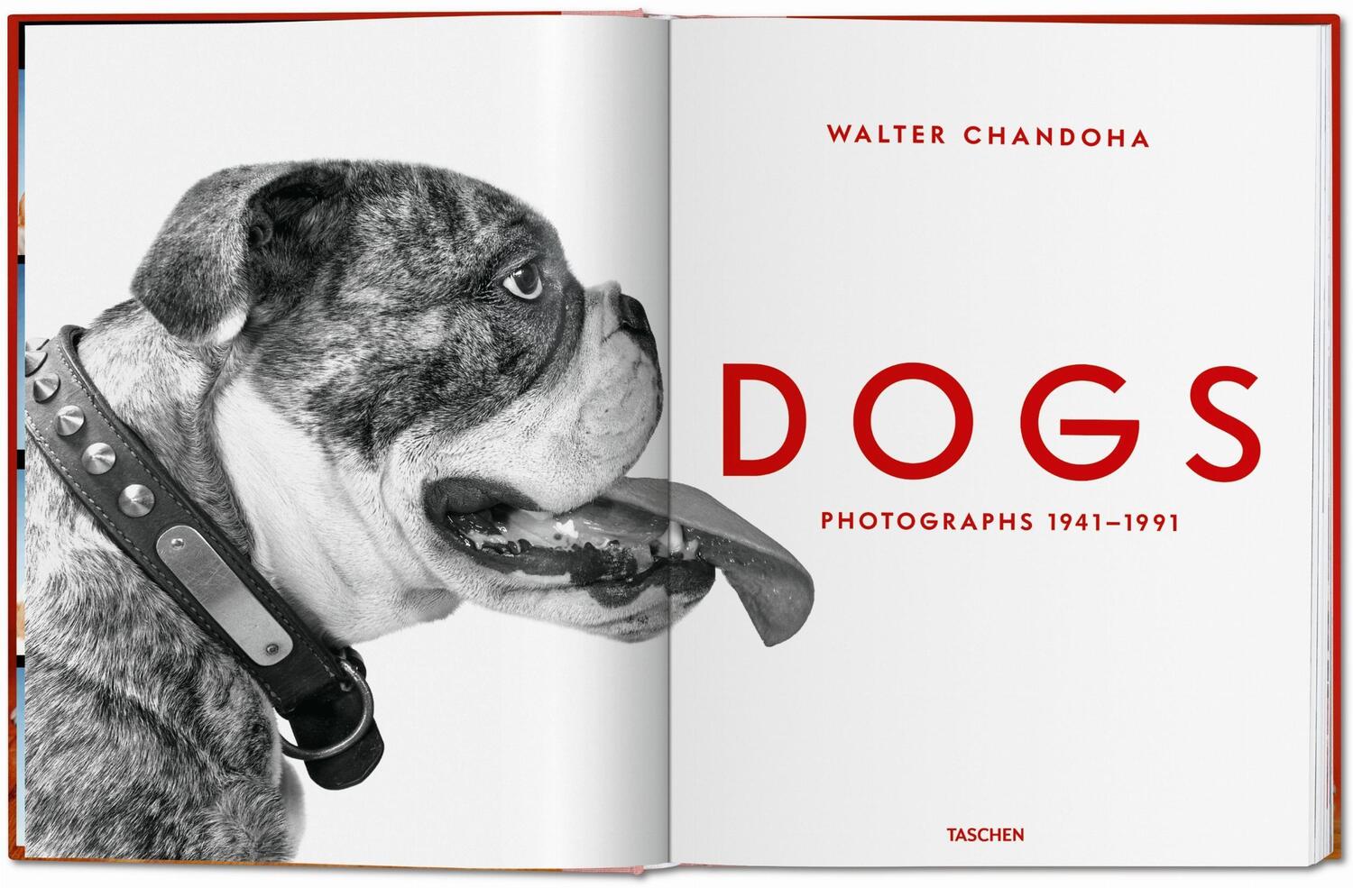 Bild: 9783836584296 | Walter Chandoha. Dogs. Photographs 1941-1991 | Reuel Golden | Buch