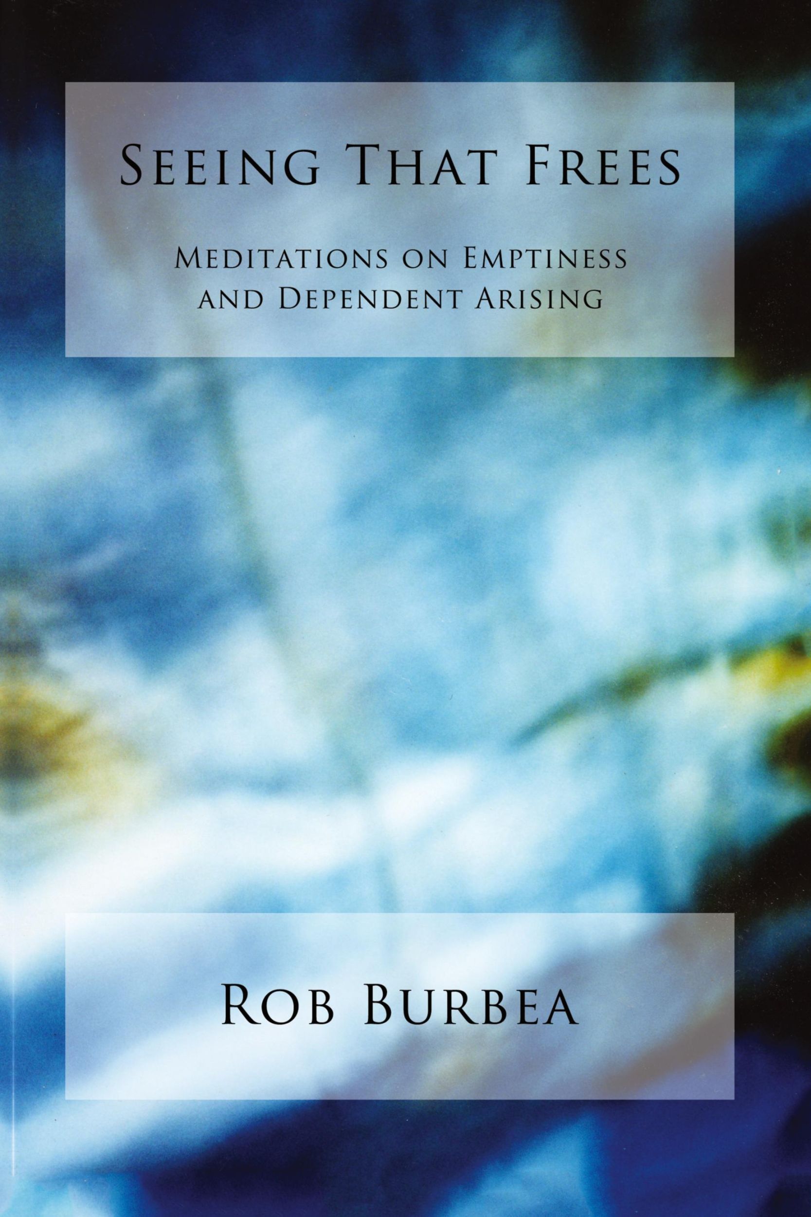 Cover: 9780992848910 | Seeing That Frees | Robert Burbea | Taschenbuch | Englisch | 2014