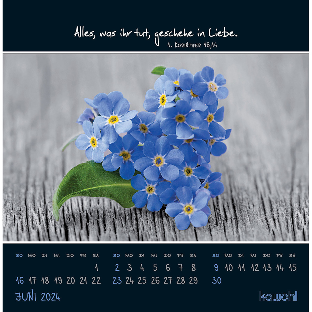 Bild: 9783754815243 | Kleine Wunder sehen 2024 | Postkarten-Kalender mit christlichen Texten