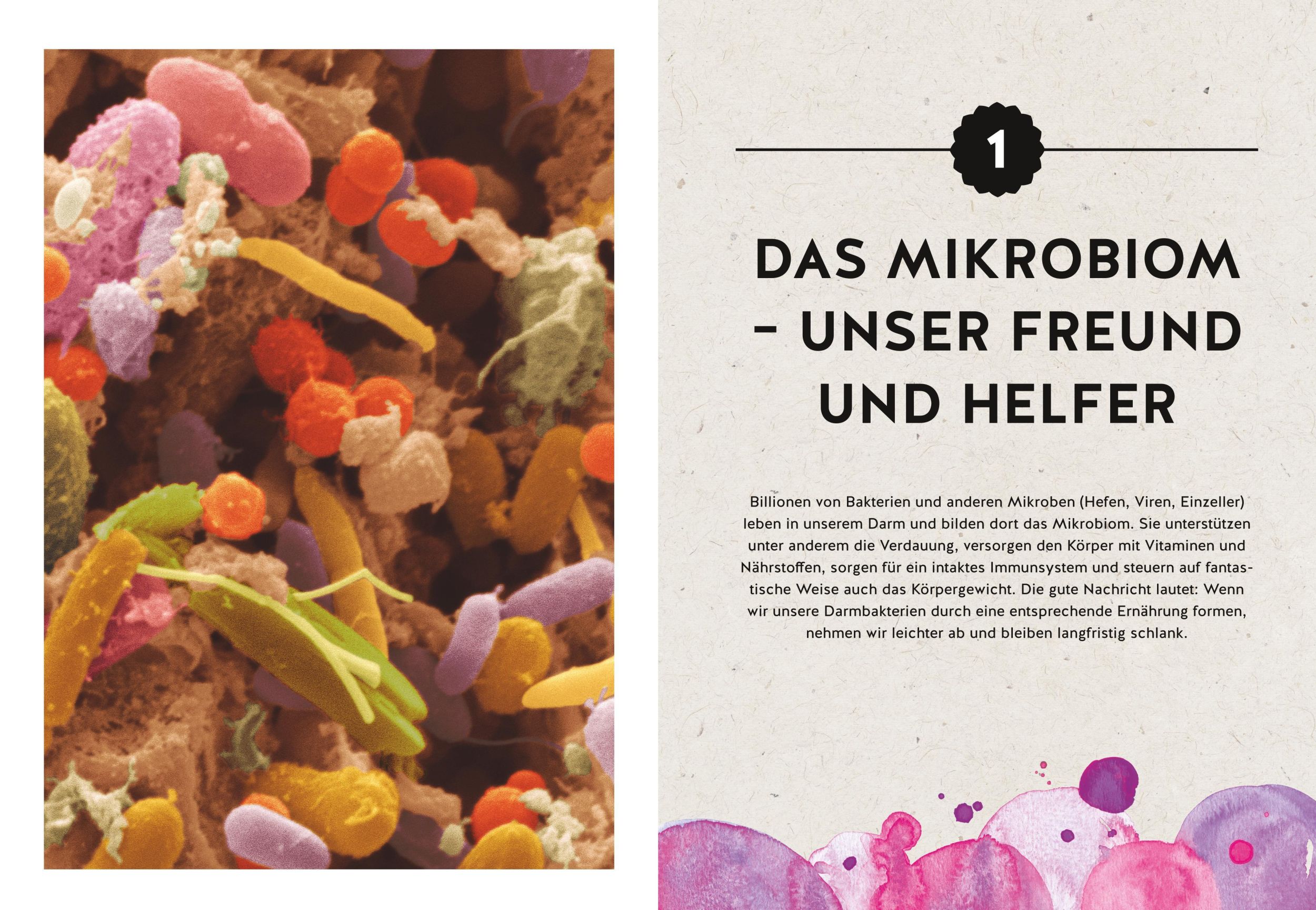 Bild: 9783833867019 | Abnehmen mit dem Darm | Die sensationelle Mikrobiom-Diät | Taschenbuch