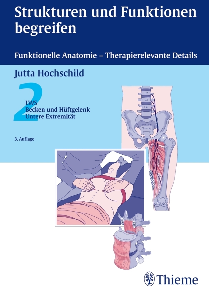 Cover: 9783131123732 | Strukturen und Funktionen begreifen. Bd.2 | Jutta Hochschild | Buch