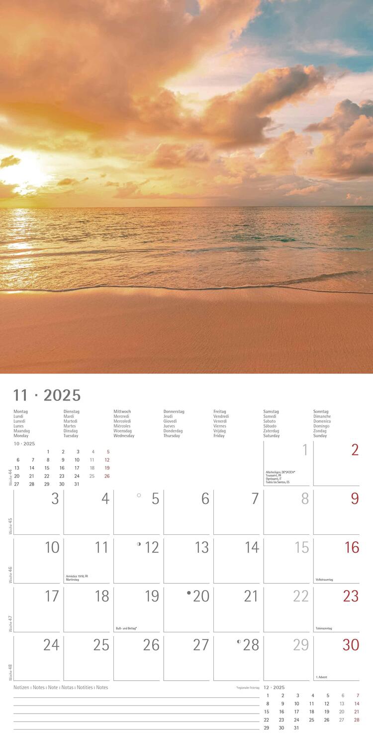 Bild: 4251732340902 | Sunny Moments 2025 - Broschürenkalender 30x30 cm (30x60 geöffnet) -...