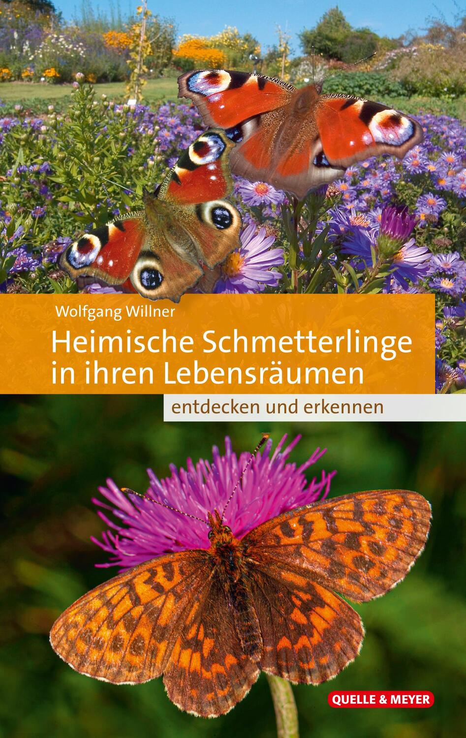 Cover: 9783494016597 | Heimische Schmetterlinge in ihren Lebensräumen | Wolfgang Willner