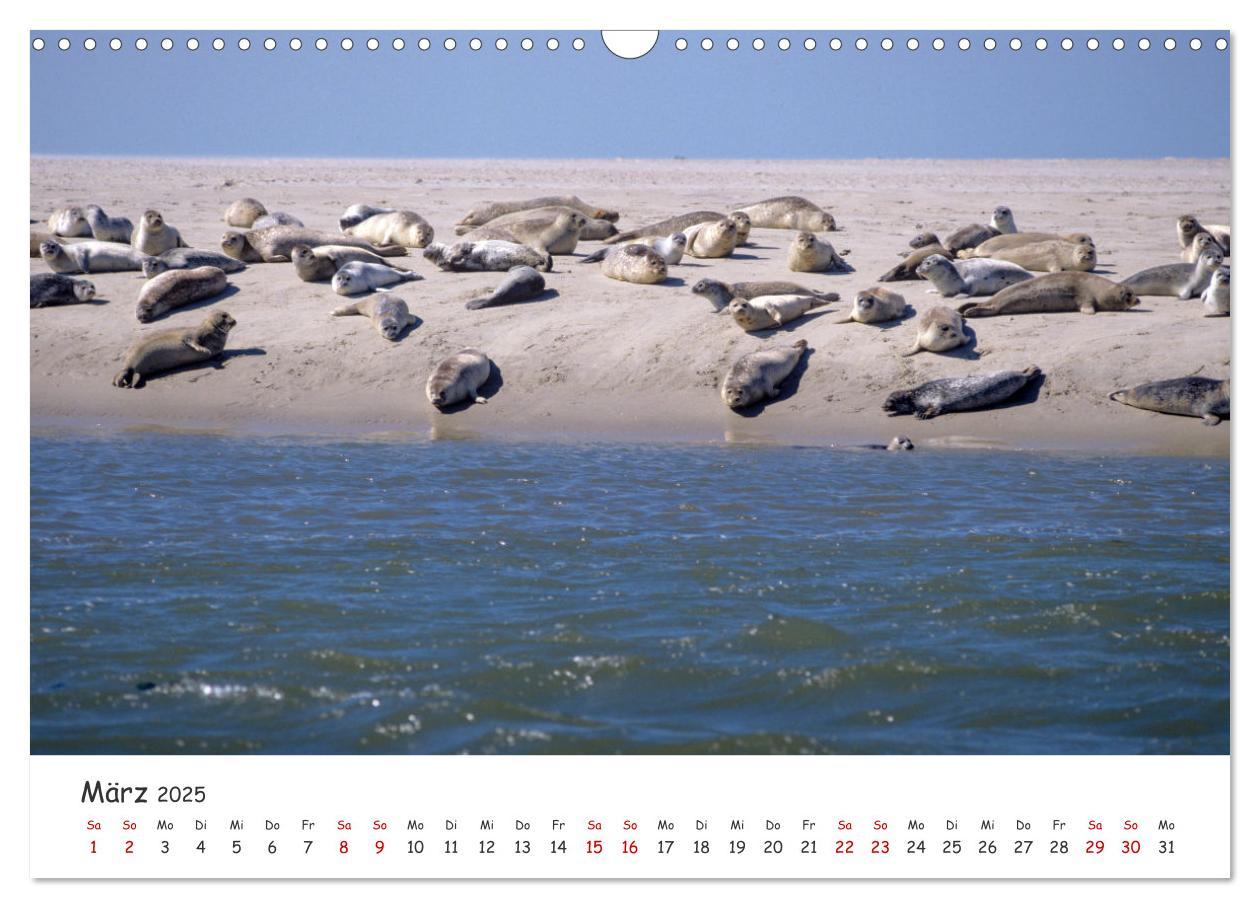 Bild: 9783435979356 | Nordsee, Meer, Strand und Wind (Wandkalender 2025 DIN A3 quer),...