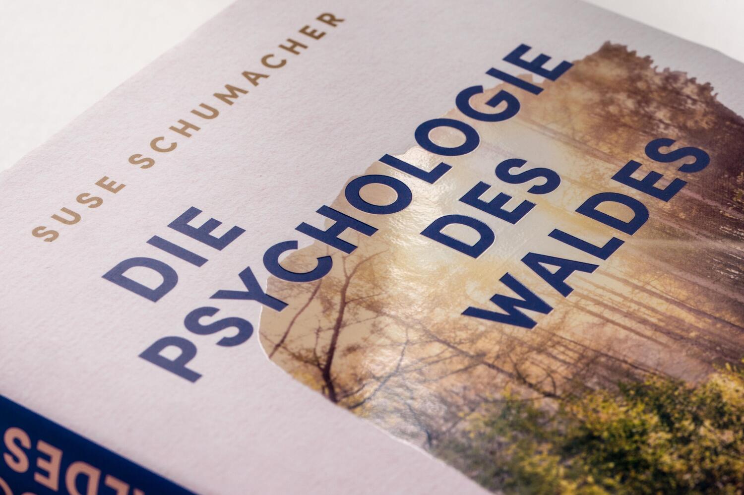 Bild: 9783424632583 | Die Psychologie des Waldes | Suse Schumacher | Buch | 256 S. | Deutsch