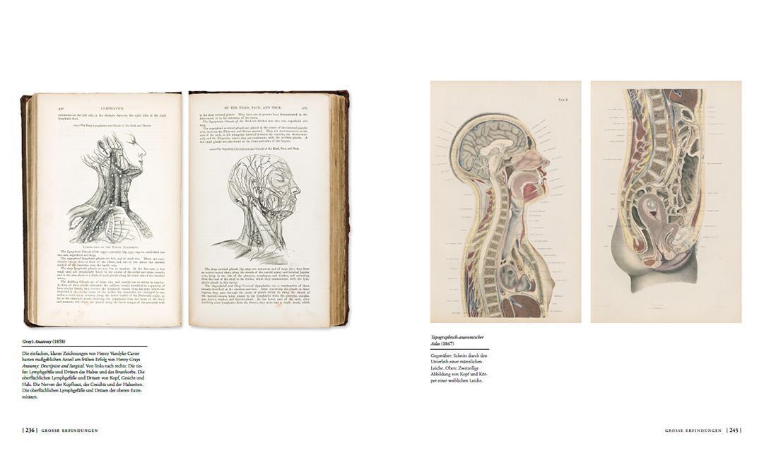 Bild: 9783258083636 | Die Geschichte der Anatomie | Colin Salter | Buch | 272 S. | Deutsch