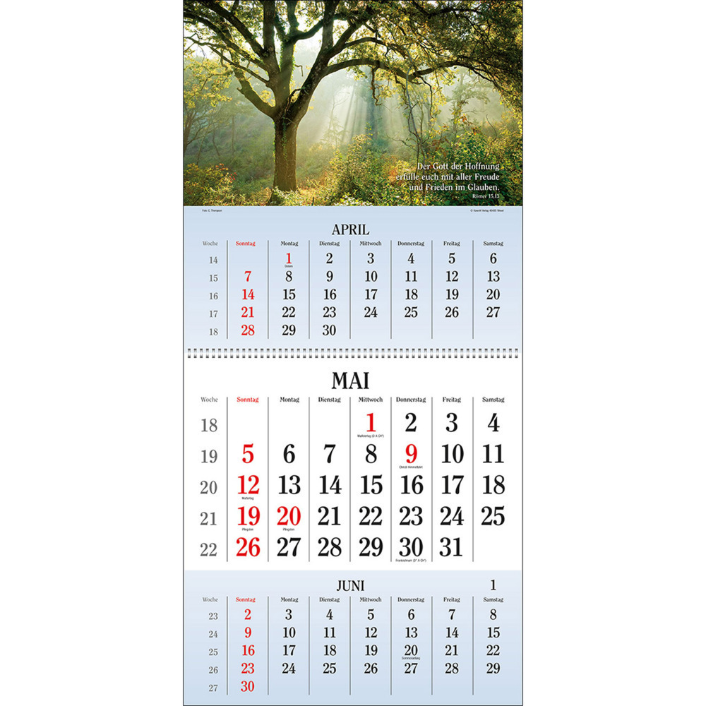 Bild: 9783754829547 | Gott segne meinen Tag 2024 | 3-Monats-Terminer | Kalender | 14 S.