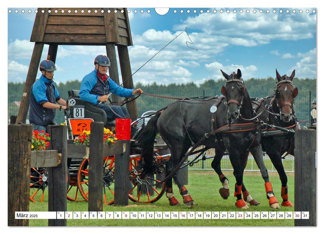 Bild: 9783383964602 | Faszination Fahrsport - Zweispänner im Galopp durch den Parcour...