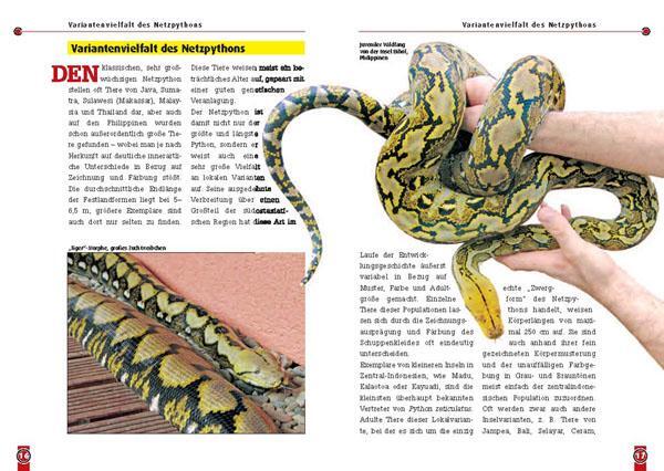 Bild: 9783866591776 | Der Netzpython | Python reticulatus, Broghammerus reticulus | Wöllner