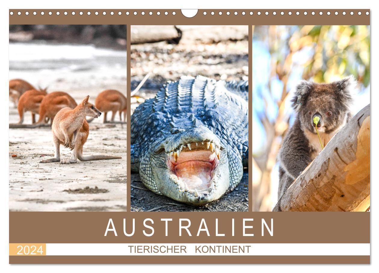 Cover: 9783675849327 | Australien, tierischer Kontinent (Wandkalender 2024 DIN A3 quer),...