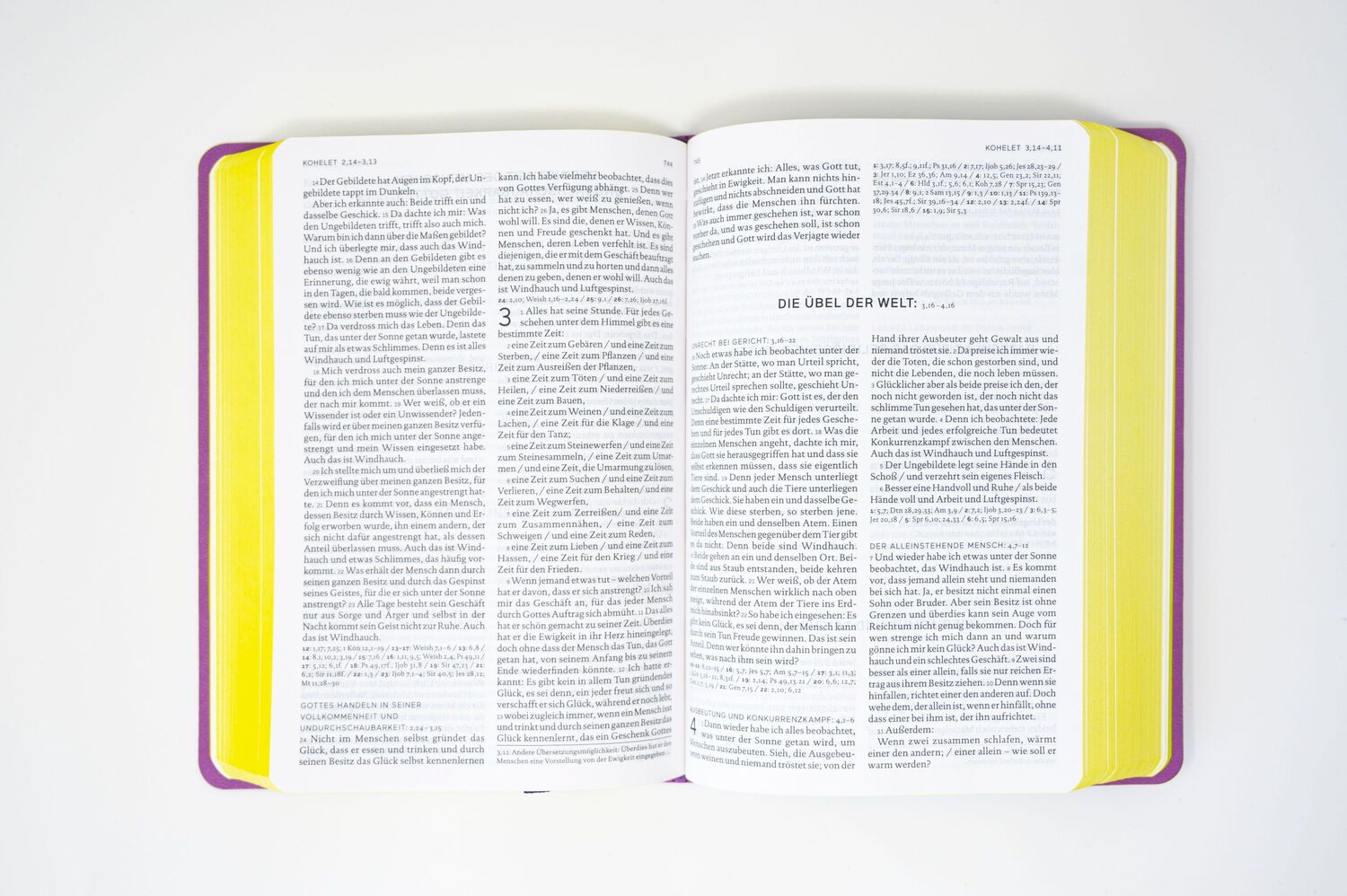 Bild: 9783460440654 | Die Bibel. Senfkorn, Handschmeichler lila | Deutschlands | Taschenbuch