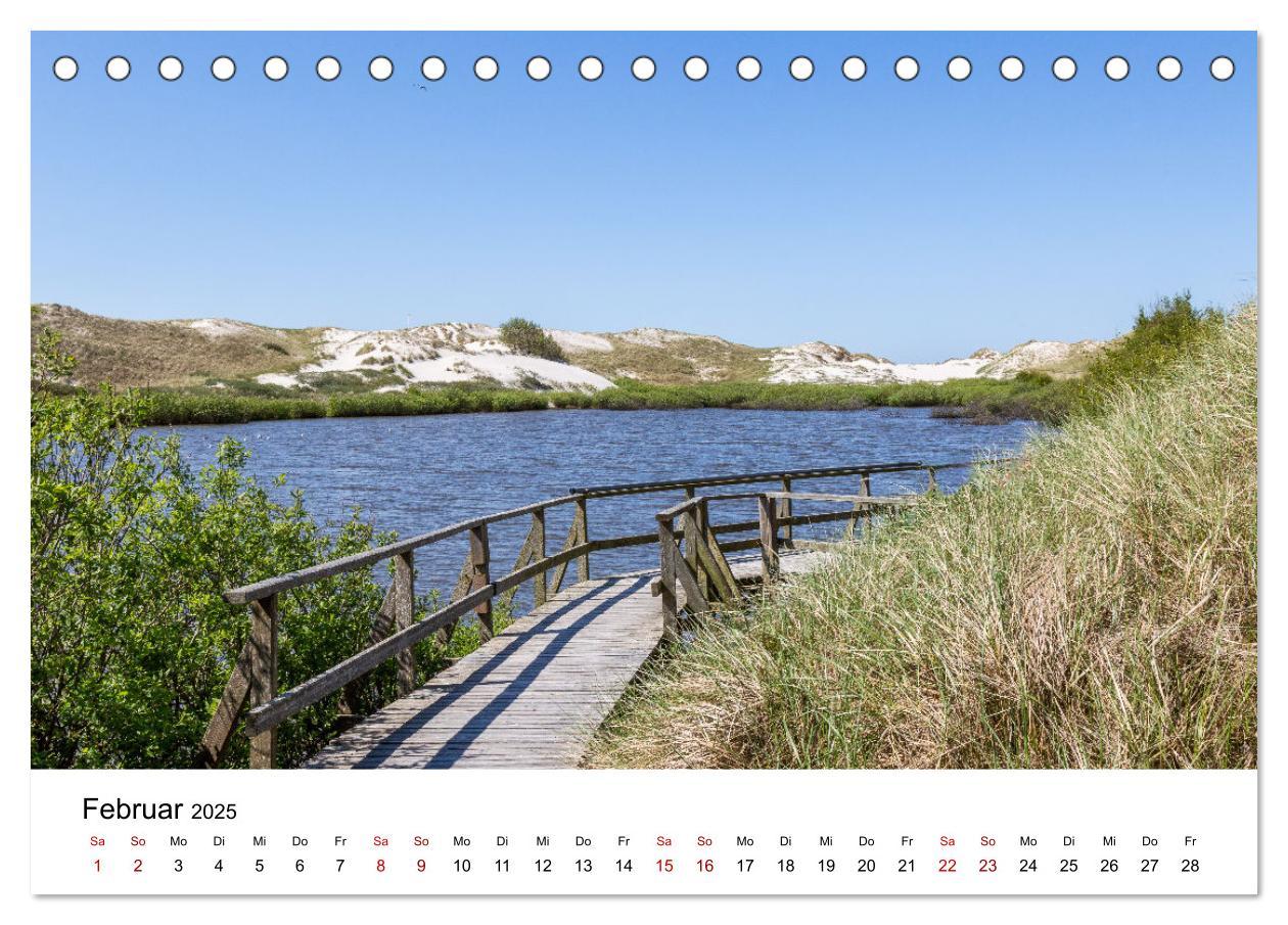 Bild: 9783383896651 | Amrum - Das Paradies in der Nordsee (Tischkalender 2025 DIN A5...