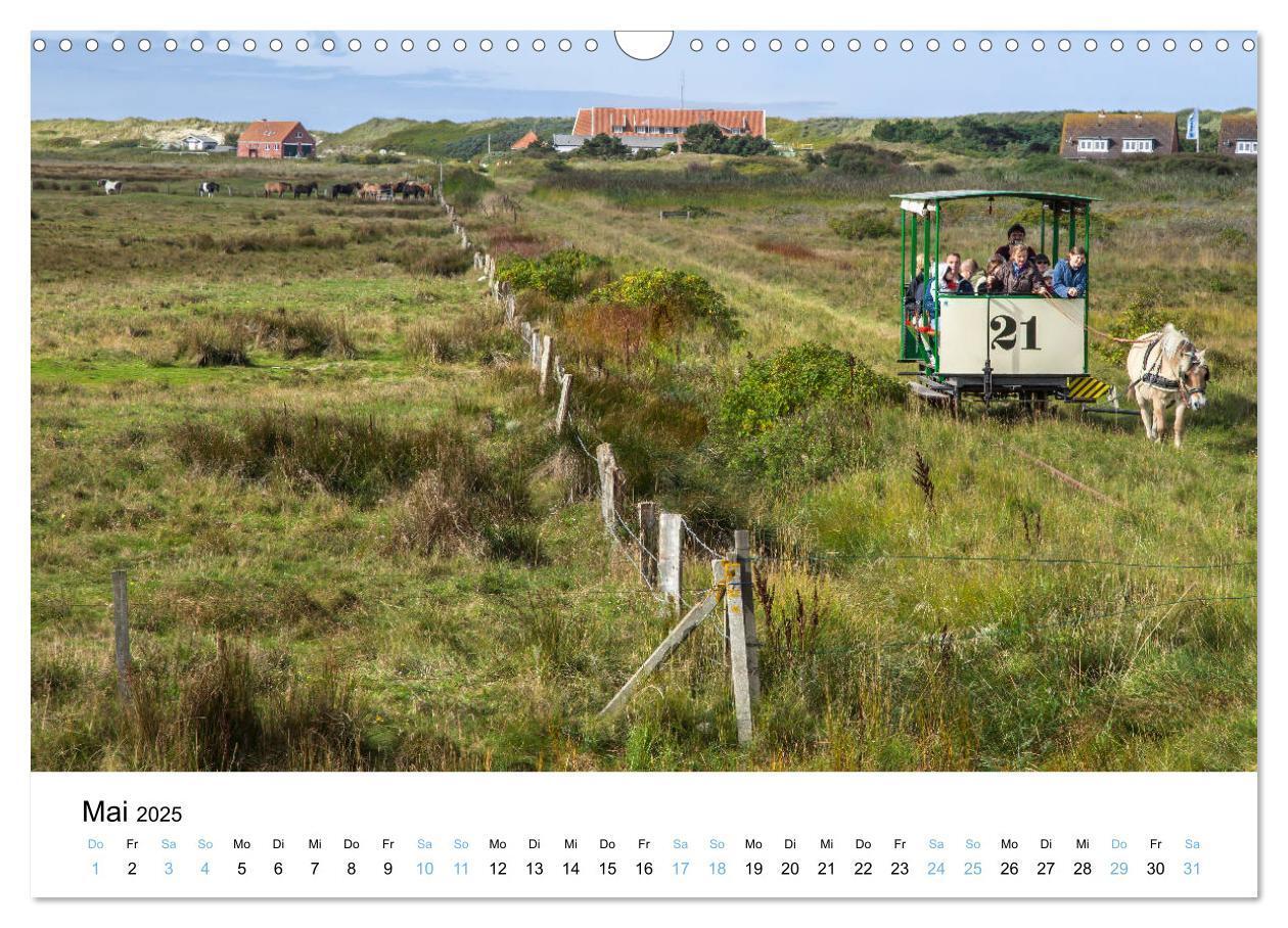 Bild: 9783435378883 | Lieblingsinsel Spiekeroog (Wandkalender 2025 DIN A3 quer), CALVENDO...