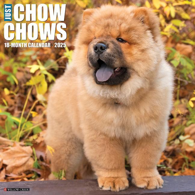 Cover: 9781549242380 | Just Chow Chows 2025 12 X 12 Wall Calendar | Willow Creek Press | 2025